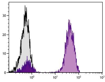 Unlabeled Anti-Porcine CD21, BB6-11C9.6 | SouthernBiotech