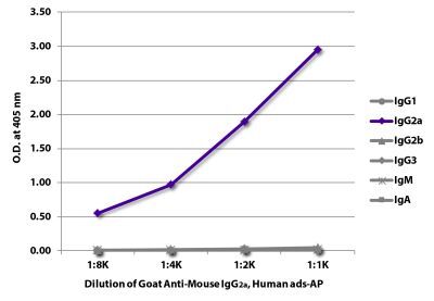 【スーパーセール】 AP Goat SouthernBiotech | Adsorbed Human IgG1, Anti-Mouse 防具