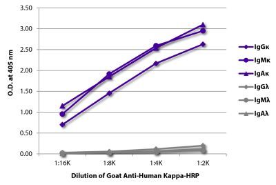 Unlabeled Human IgG1 Kappa Isotype Control | SouthernBiotech