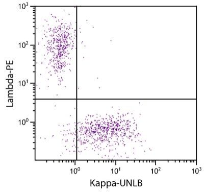 Unlabeled Goat F(ab')2 Anti-Human Kappa | SouthernBiotech